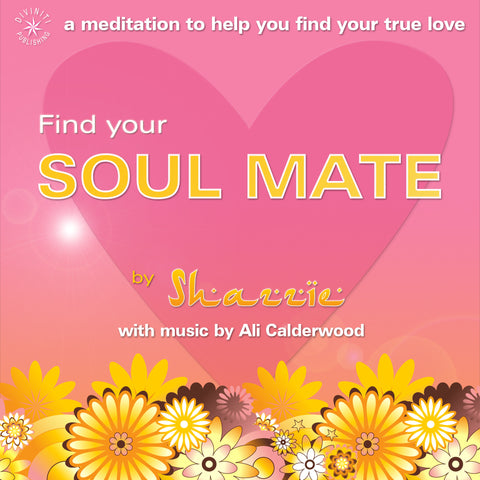 Find Your Soul Mate - Shazzie - MP3 Download