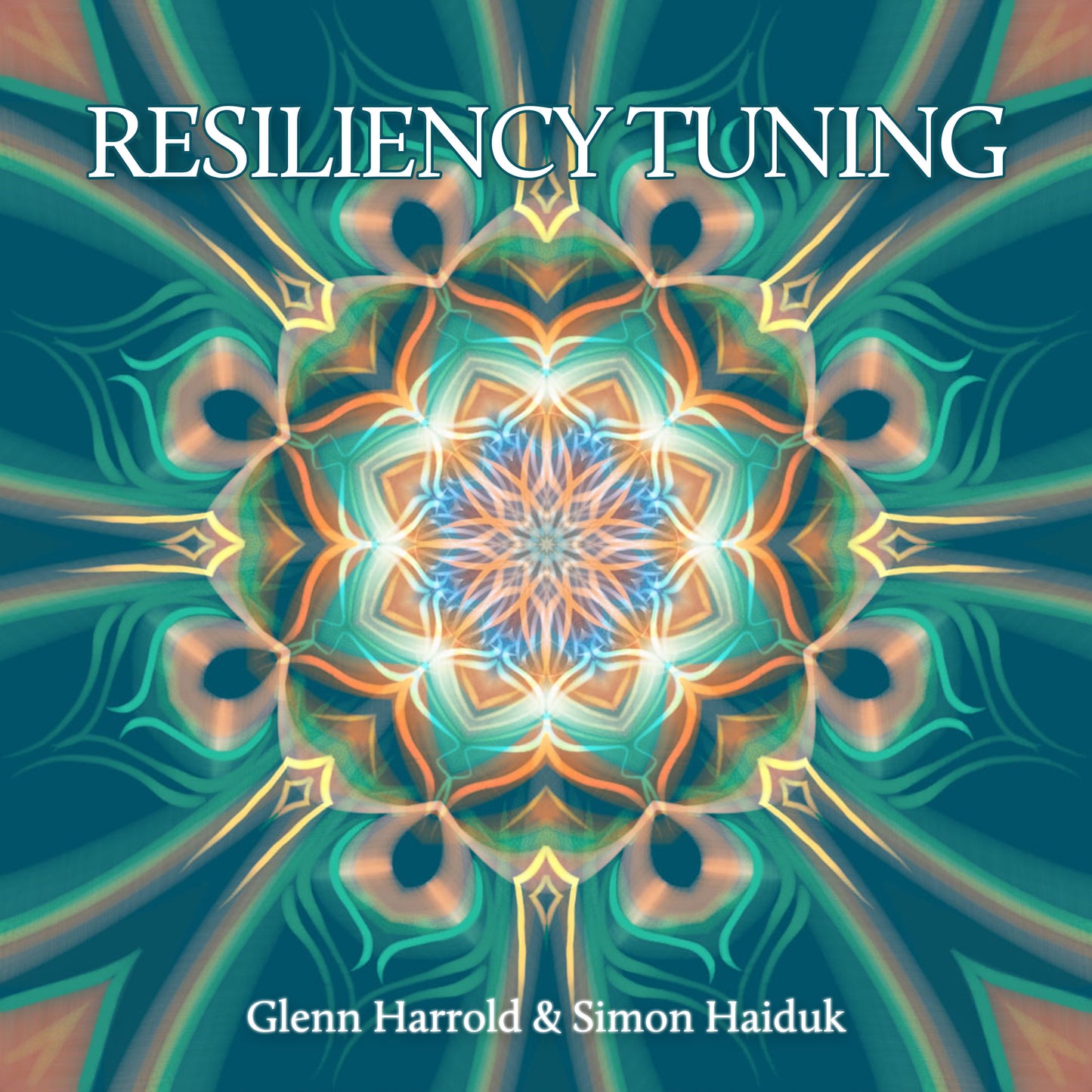 Resiliency Tuning Meditation - MP3 Download